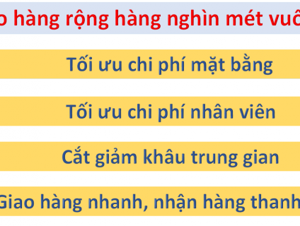 Bạn đã biết đến kho tivi giá rẻ lớn nhất ?
