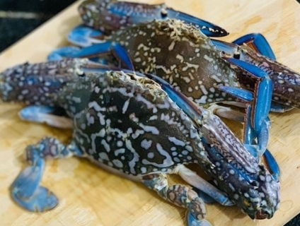 Dự án sinh viên hỗ trợ ngư dân tiếp cận thị trường thương mại điện tử