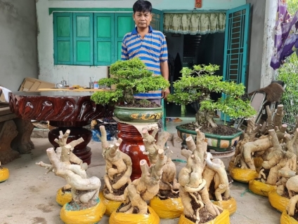 cây cảnh miền tây Giao lưu