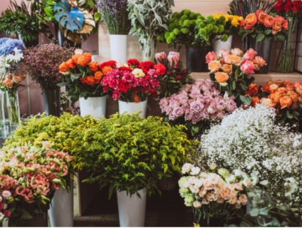 DỊCH VỤ DẠY CẮM HOA