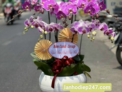 Dịch vụ điện hoa 247 uy tín tại tphcm 0934013738