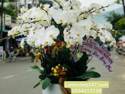 KINH NGHIỆM CHỌN HOA CHÚC MỪNG KHAI TRƯƠNG