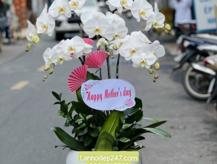 Ý NGHĨA CỦA VIỆC TẶNG QUÀ TRONG NGÀY CỦA MẸ ÍT AI BIẾT