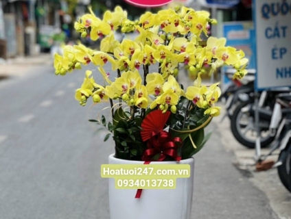 Shop hoa tươi lan hồ điệp tại quận 7 tphcm 0934013738