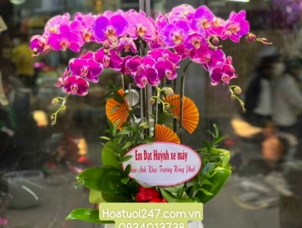 Shop hoa tươi lan hồ điệp quận 2 uy tín tphcm 0934013738