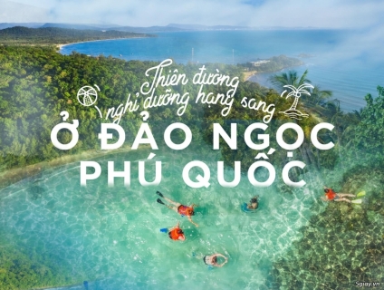 D “ ́ ̂́” giá rẻ