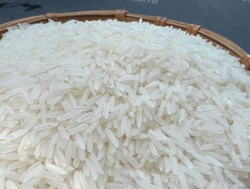 Gạo Lúa Tôm là Gì ?