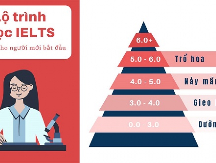 5 Bước Quan Trọng để Xây Dựng Lộ Trình Học IELTS Hiệu Quả