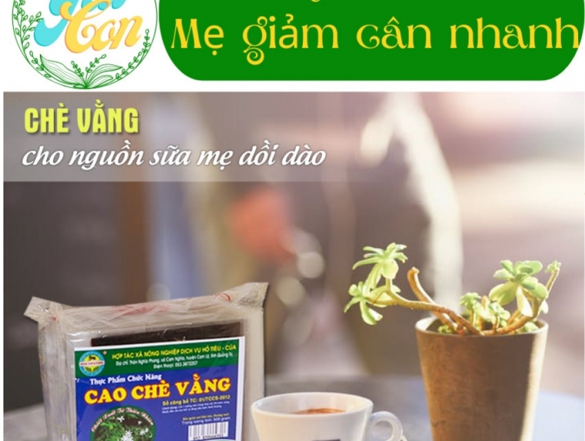 Cao Chè Vằng Quảng Trị Cao Chè Vằng Lợi Sữa Giảm Cân chuẩn Chè Vằng Sẻ