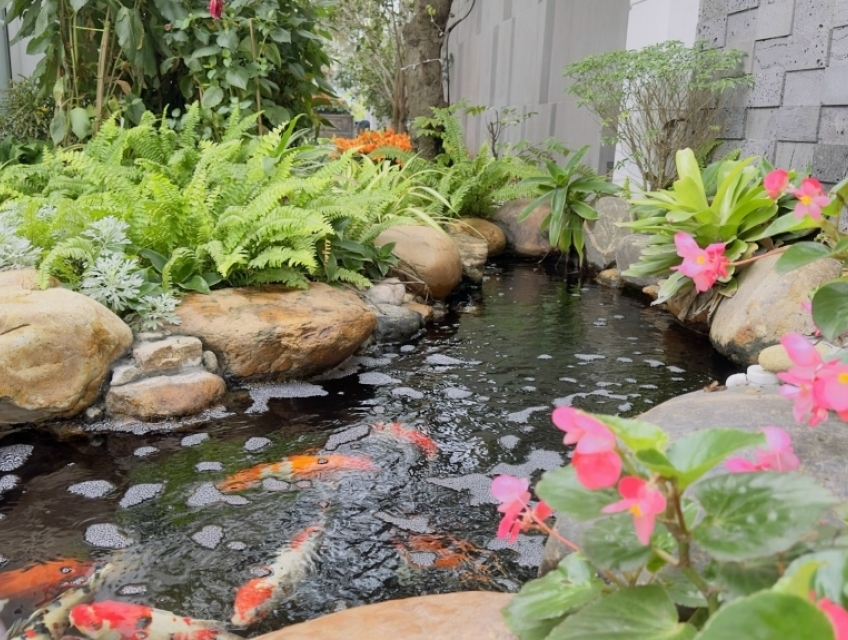 Đơn vị uy tín hàng đầu trong lĩnh vực Tư Vấn, thiết kế và thi công cản