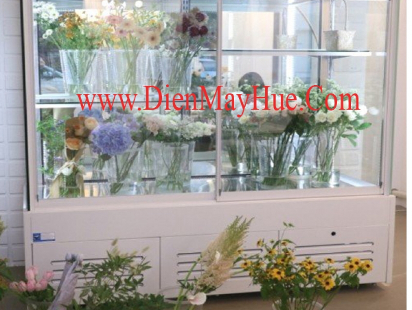 Tủ mát trưng bày hoa tươi tại huế