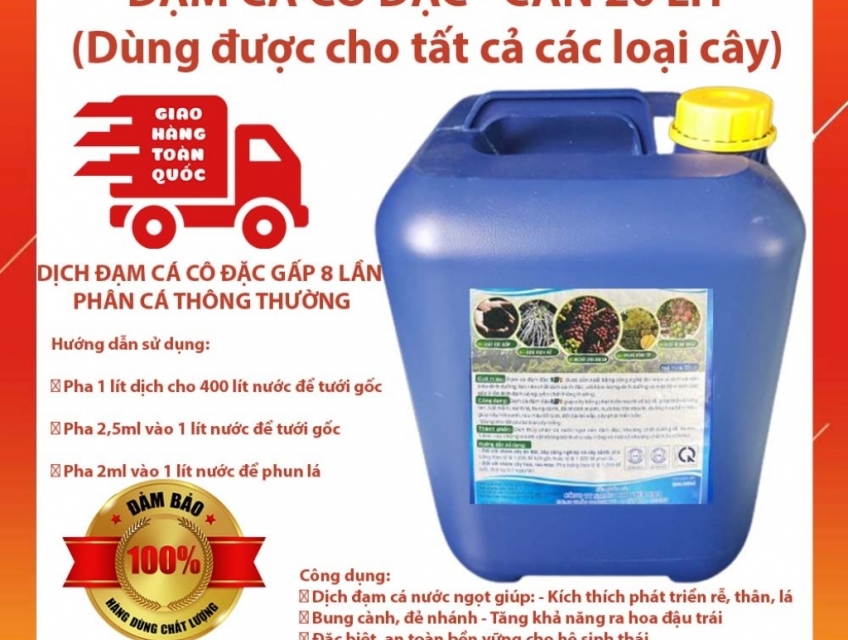 Phân bón hữu cơ đạm cá cô đặc, bón lá, bón gốc, Đạm cá Humic cô đặc