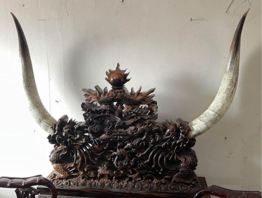 Giá Đỡ Sừng gỗ Mun Hoa