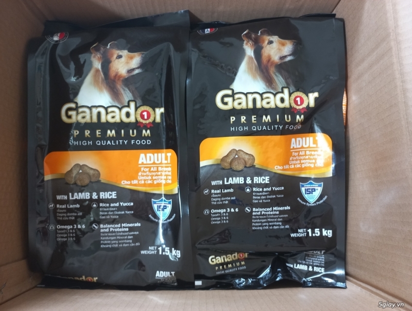 Freeship HCM Ganador Cừu thức ăn cho chó của Pháp