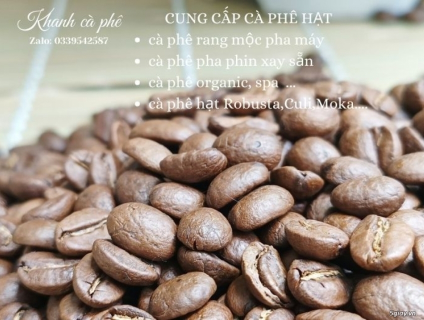 cung cấp cà phê hạt pha máy tại Buôn Ma Thuột-ĐăkLak với giá sỉ ổnđịnh