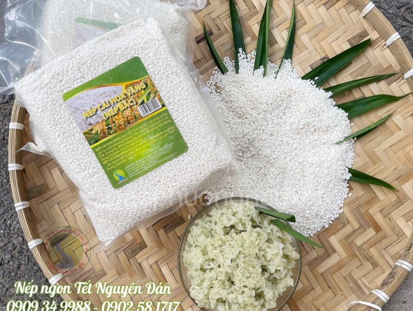Nếp Bắc (Nếp Cái Hoa Vàng )