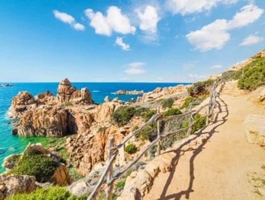 LOẠI MỲ Ý HIẾM NHẤT THẾ GIỚI CÓ NGUY CƠ BIẾN MẤT? - MỲ Ý HẢI PHÒNG