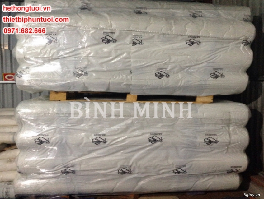 Màng nhà kính Israel, nhà màng Israel, nhà kính giá rẻ, màng nhà kính