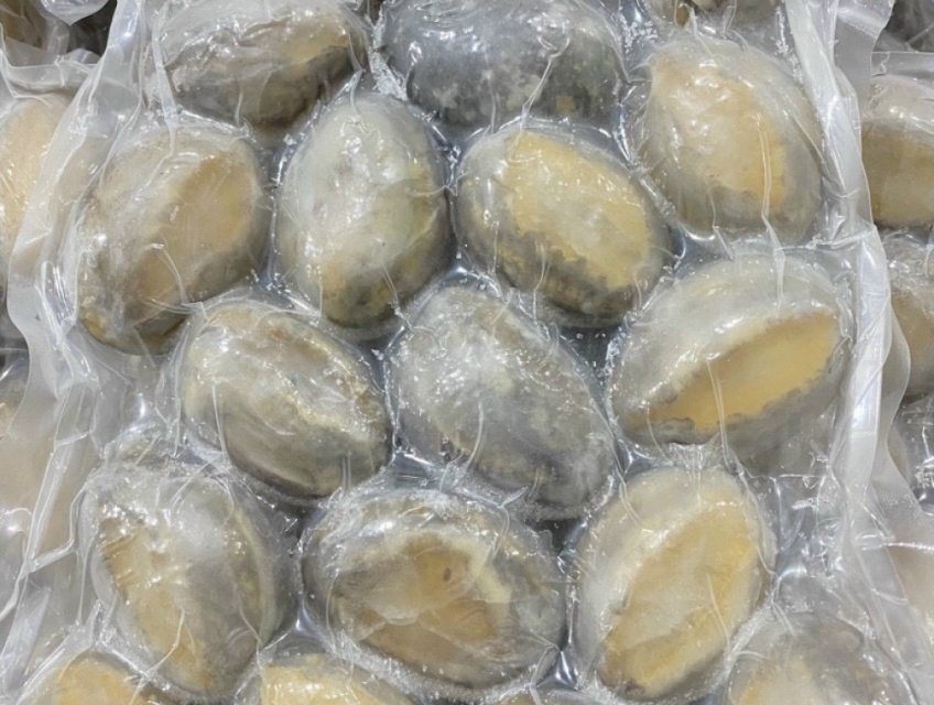 Mời sỉ Bào Ngư Abalone