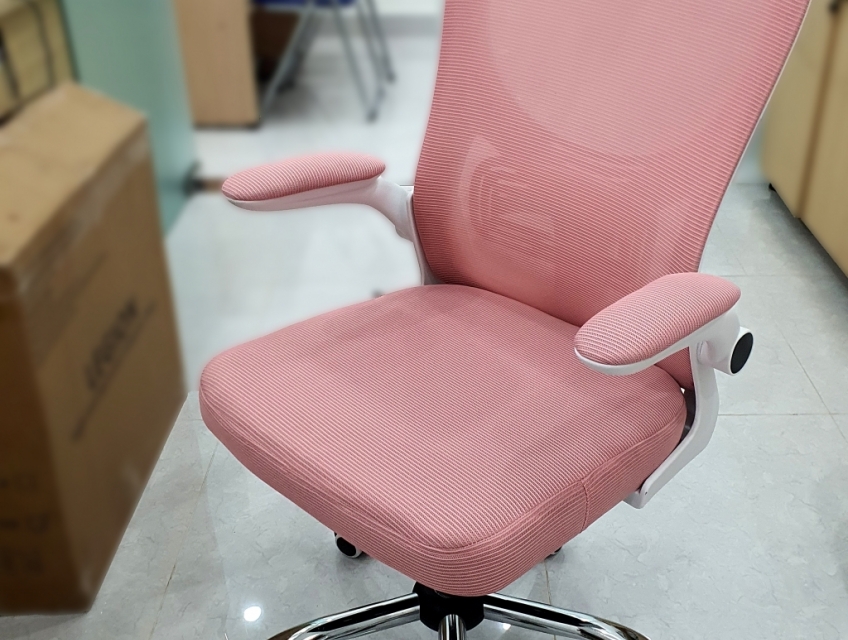 Ghế công thái học Legion YT030