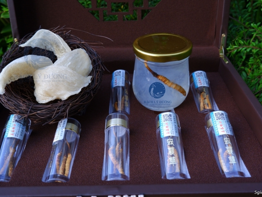 Sản Phẩm Thượng Hạng - Yến - Sâm - Đông Trùng- Tinh Dầu Thông Đỏ