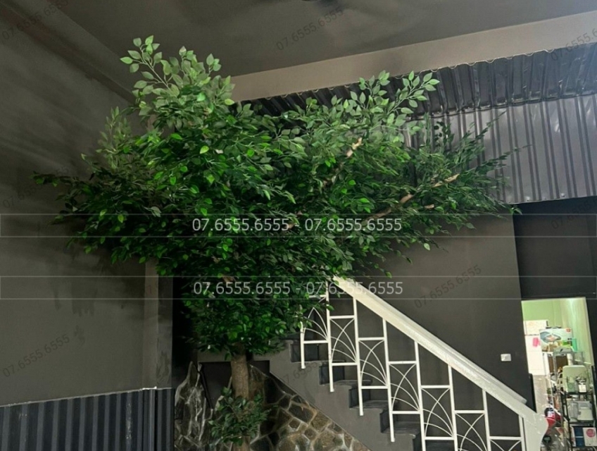 Cây si giả đẹp rất giống thật