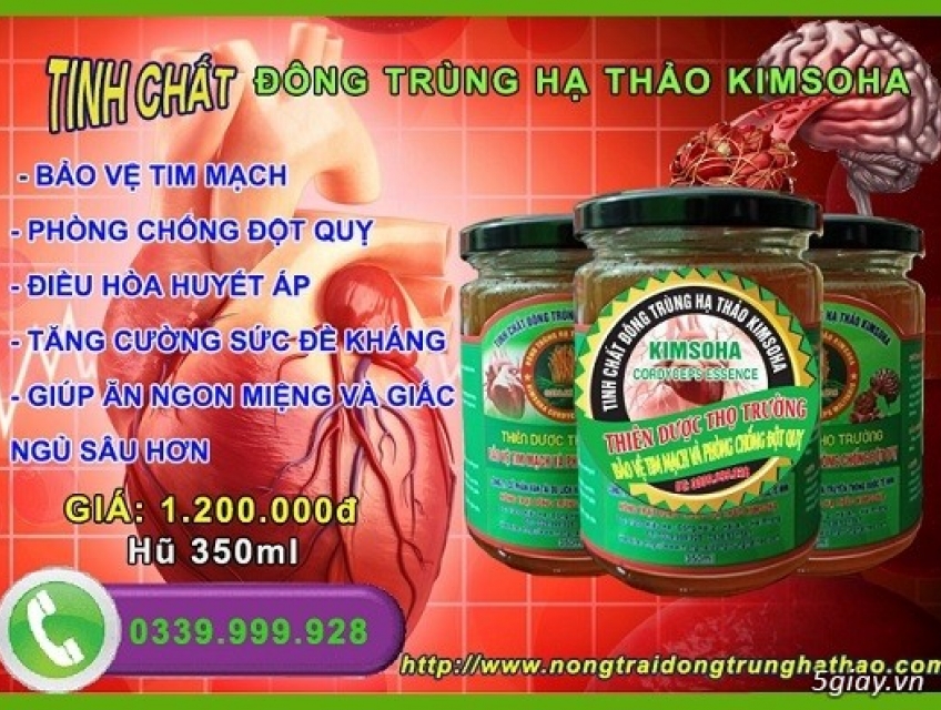 BÁN TINH CHẤT ĐÔNG TRÙNG HẠ THẢO KIMSOHA-BẢO VỆ TIM MẠCH