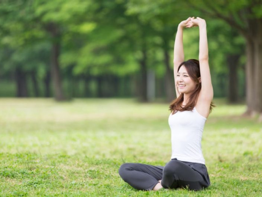 Hạt é và những lợi ích không ngờ tới