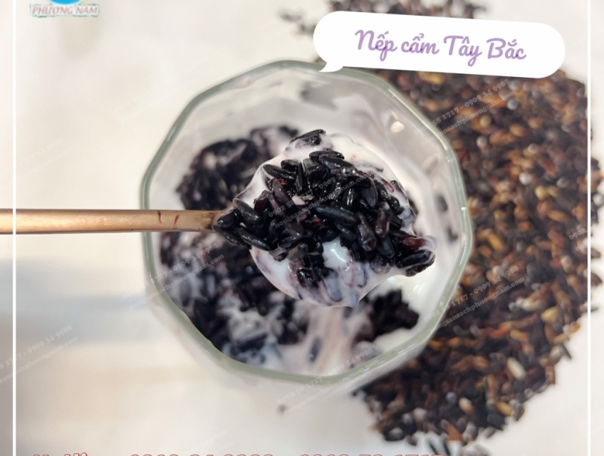 Nếp Cẩm Tây Bắc