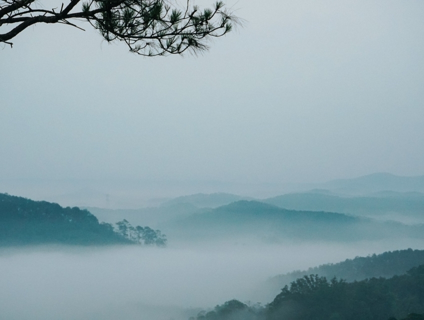 Review Trekking săn mây du lịch Măng Đen 2 ngày 1 đêm không thể bỏ qua