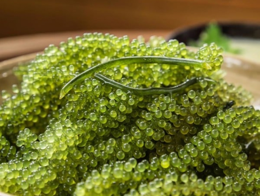 ĐẶC SẢN NHA TRANG KHÔNG NÊN BỎ LỠ