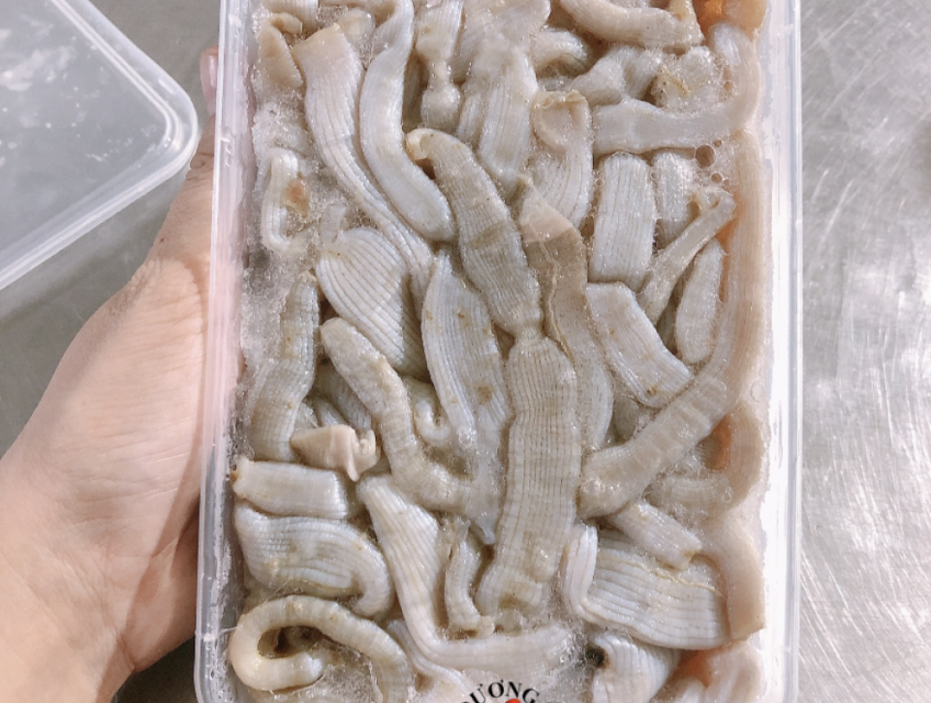 Mua sá sùng ở đâu giá tốt, chất lượng?