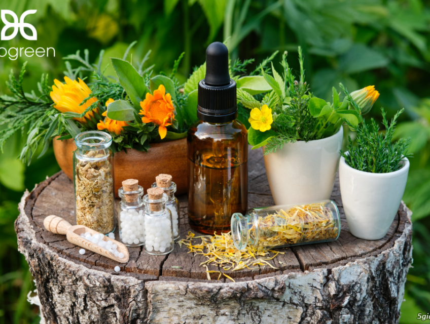 Cung cấp các nguyên liệu thảo dược cho sản xuất mỹ phẩm