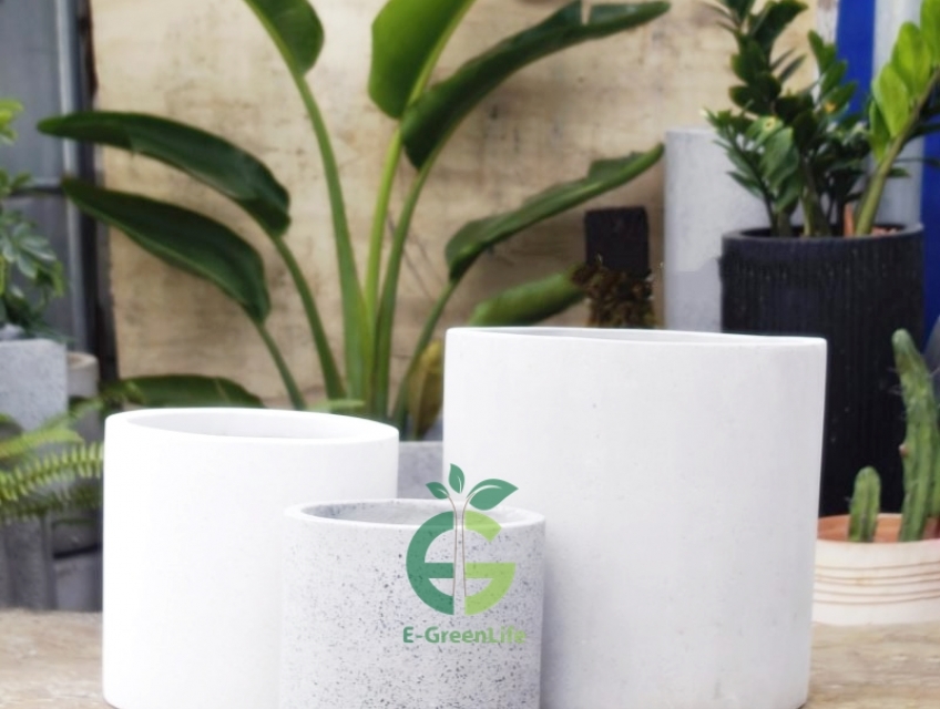 Chậu Xi Măng Nhẹ Hình Trụ Tròn