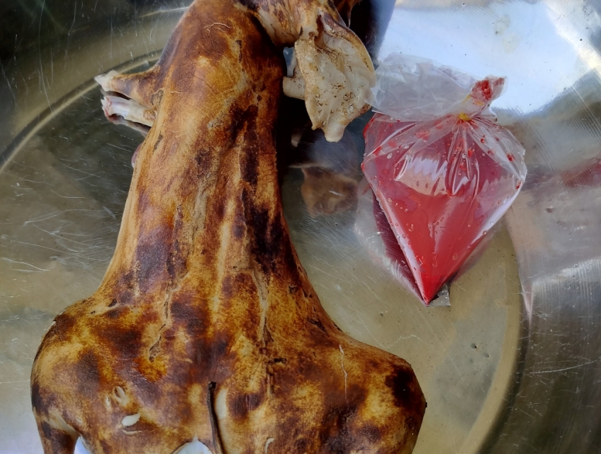 Chuyên cung cấp, buôn bán thỏ thịt ở thừa thiên Huế