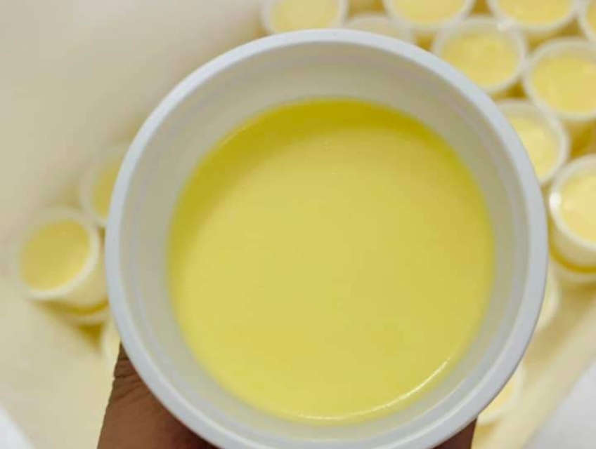 Chuyên Bán Yaourt Phô Mai Đà Lạt Tại Tân Phú, Hồ Chí Minh