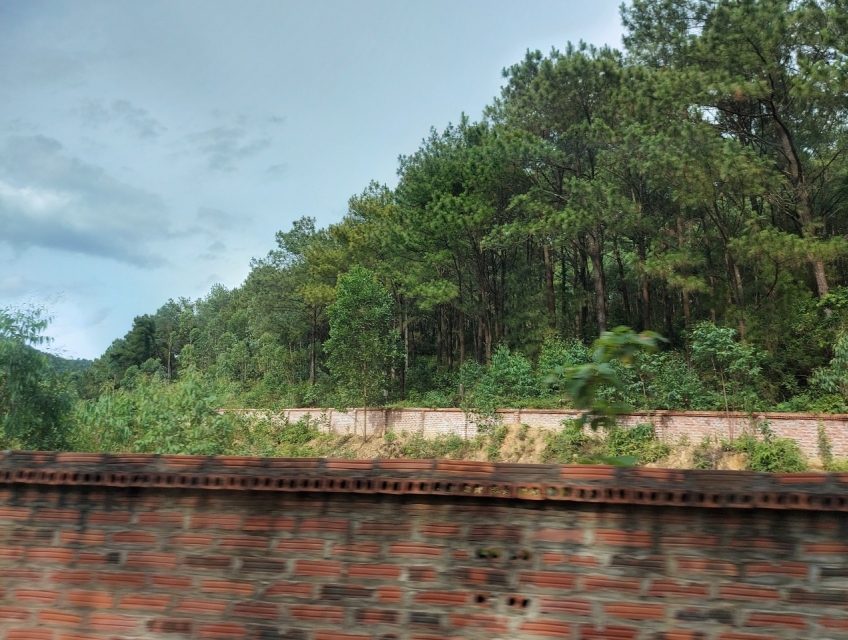 MÌNH CẦN BÁN 1,6 HA ĐẤT TẠI ĐẠI LẢI. 3 MẶT TIỀN XÃ NGỌC THANH,