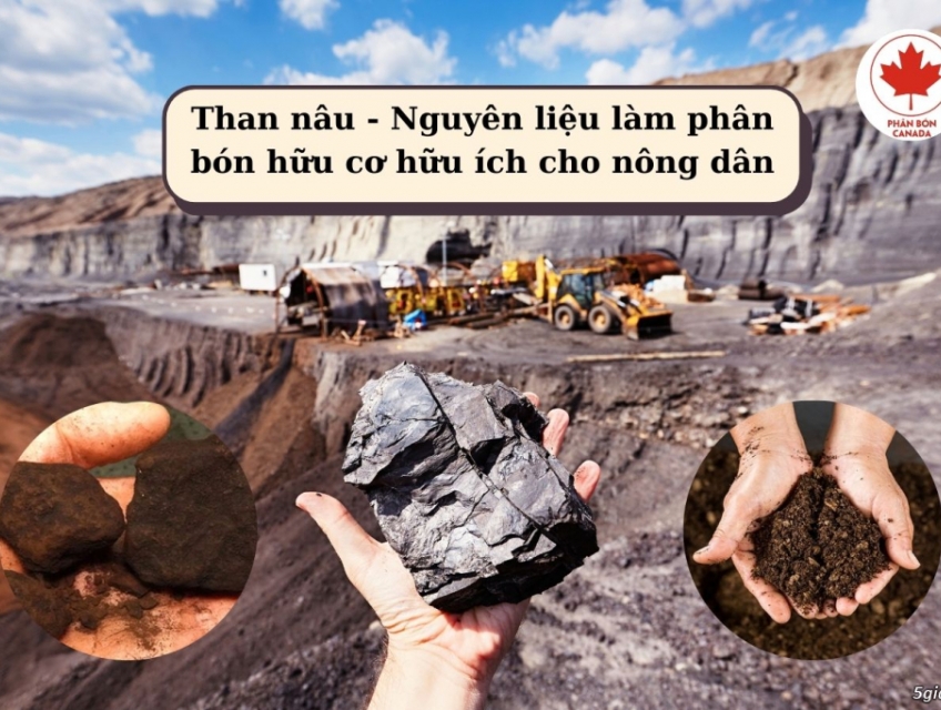 Lợi ích của than nâu - một nguyên liệu làm phân bón hữu cơ