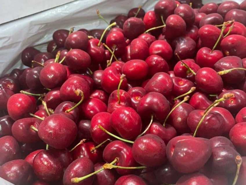 Cherry Mỹ trọc cuống thùng 5 kg