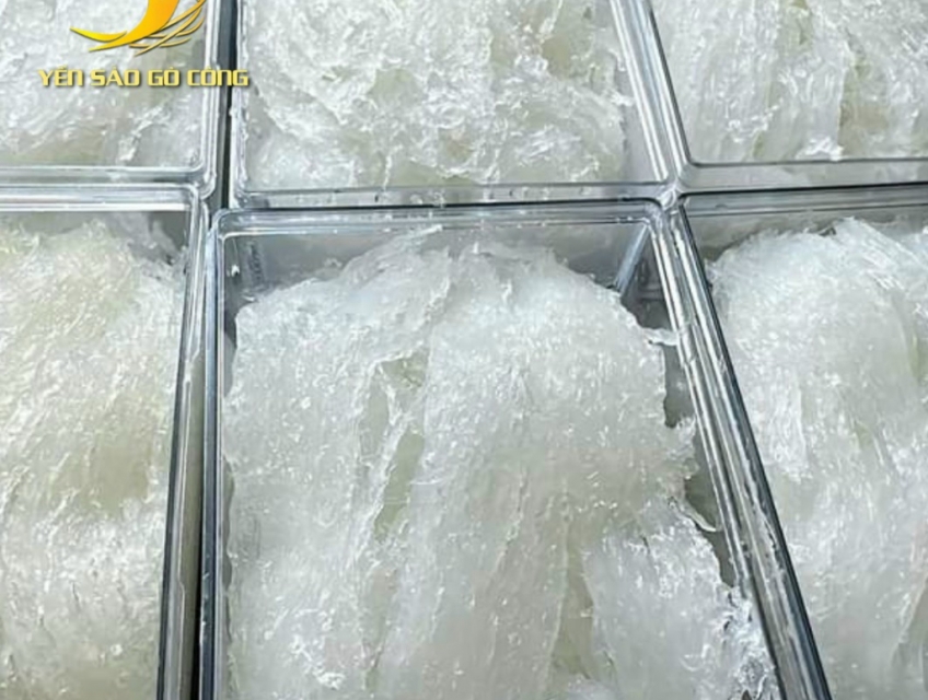 Yến tươi YSGC làm sạch thủ công 30gr/50gr/100gr rất tiện lợi