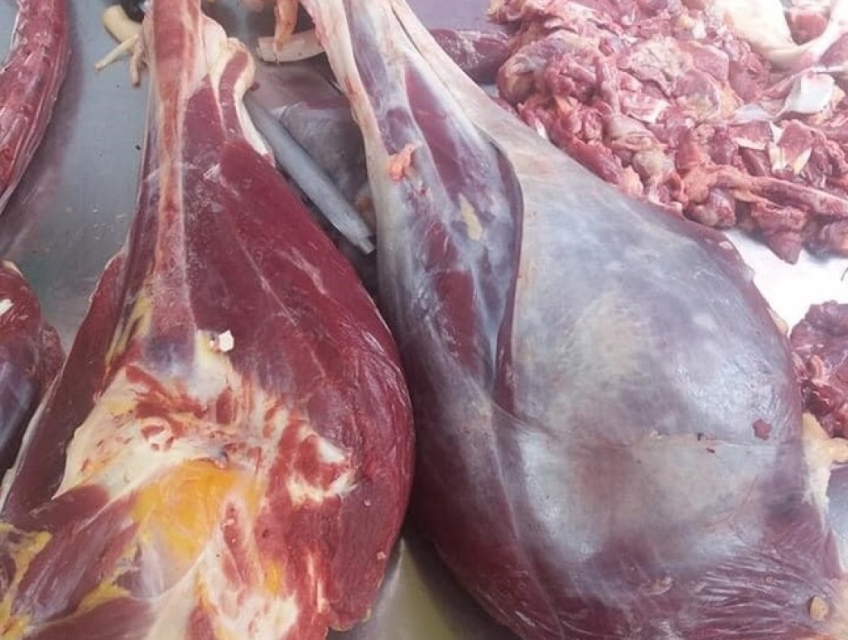 Bao nhiêu tiền 1 kg thịt đà điểu tươi sống