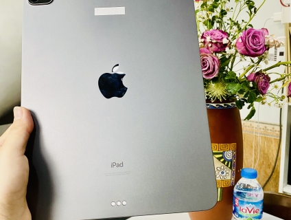 iPad Pro 11 inch M2 - 128GB Wifi - Gray Keng body Pin100 LL/a
