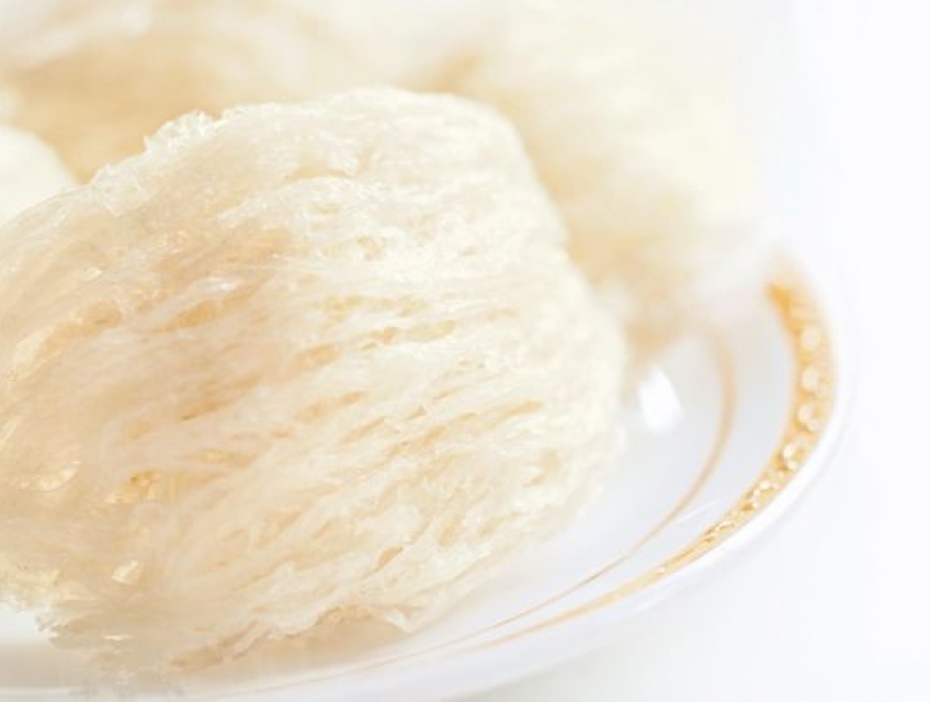 Yến sào thượng hạng Tây Nguyên