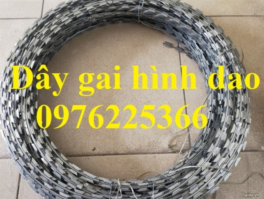 Dây kẽm gai vòng tròn D32, D45, D50, D60