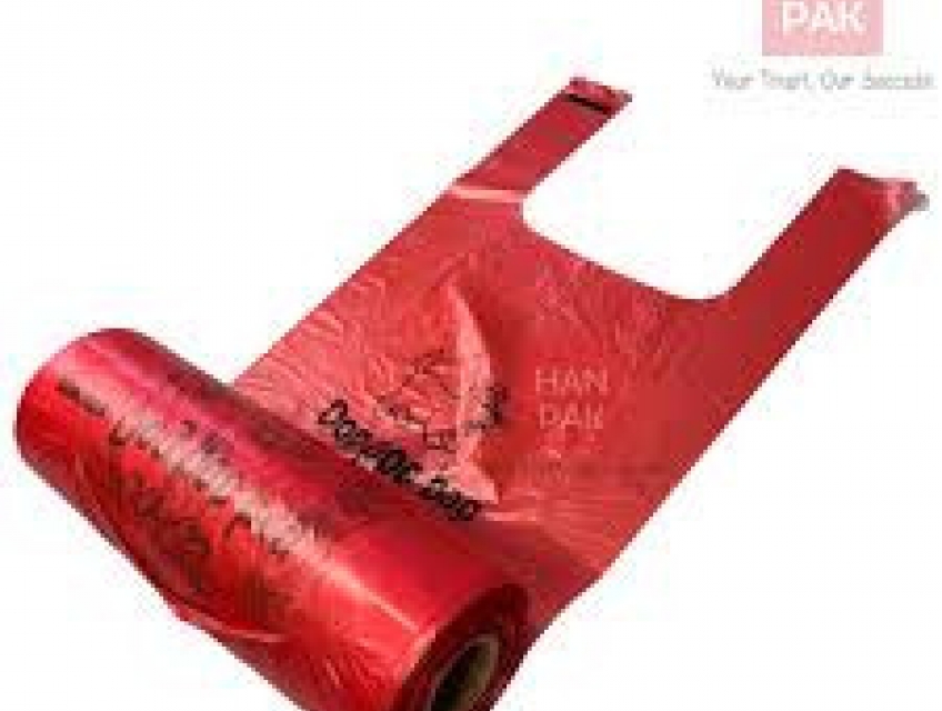 Hanpak Holdings – Đối tác tin cậy trong ngành bao bì nhựa xuất khẩu