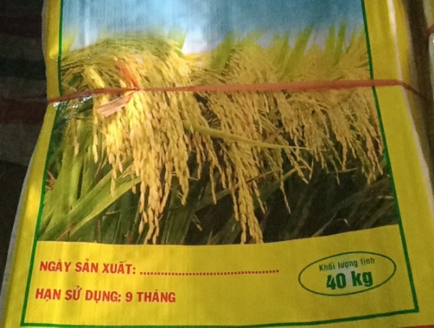 BAO LÚA GIỐNG 40KG – CHẤT LƯỢNG BỀN, GIÁ MỀM CHO BÀ CON & ĐẠI LÝ