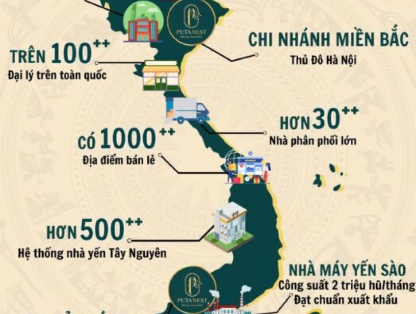 4 Lý Do Trở Thành Đại Lý Yến Sào Putanest