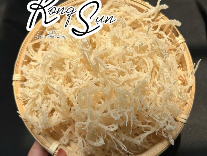 GIÁ SỈ 10KG RONG SỤN GAI TỪ 32K