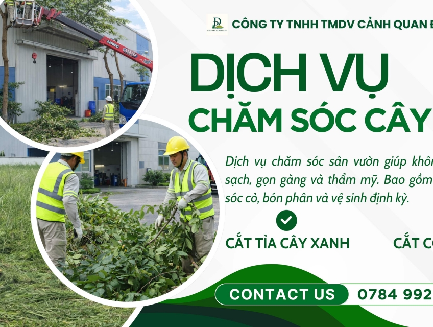 DỊCH VỤ CHĂM SÓC CÂY XANH NHÀ XƯỞNG KCN NHƠN TRẠCH – ĐỒNG NAI