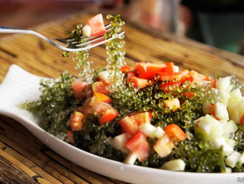 Rong Nho Tươi Giòn Ngon – Thực Phẩm Healthy Được Nhiều Người Chọn